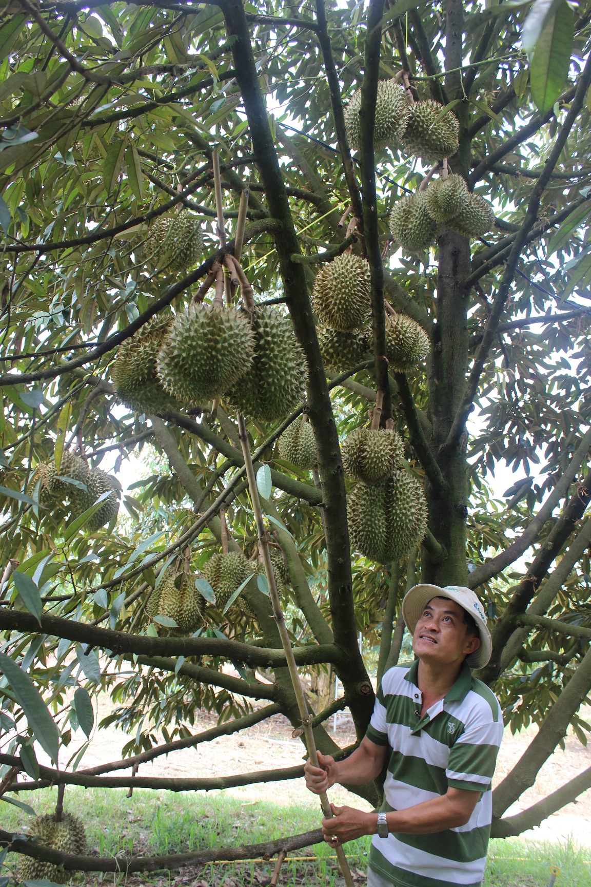 anh sau rieng 2.jpg