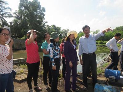 khao sat viec khac phuc o nhiem moi truong tai Cty TNHH Det may the hoa.jpg