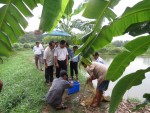 Đoàn giám sát của Ban KT-NS