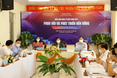 Đoàn đại biểu Quốc hội tỉnh tham dự Hội nghị diễn đàn kinh tế Việt Nam 2021