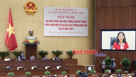 Tổng hợp ý kiến đóng góp của đại biểu Điểu Huỳnh Sang, Phó Trưởng Đoàn chuyên trách, phụ trách Đoàn ĐBQH tỉnh tại Hội nghị đại biểu Quốc hội hoạt động chuyên trách trước kỳ họp thứ 3, Quốc hội khóa XV