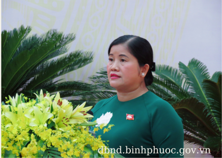 ​​​​​​​Phó Bí thư Tỉnh ủy, Chủ tịch UBND tỉnh Trần Tuệ Hiền phát biểu tại kỳ họp