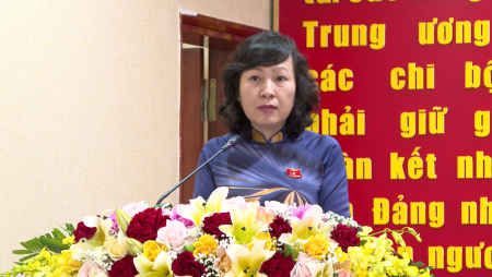 Hội đồng nhân dân tỉnh tổ chức kỳ họp thứ 9 (chuyên đề) Hội đồng nhân dân tỉnh khóa X.