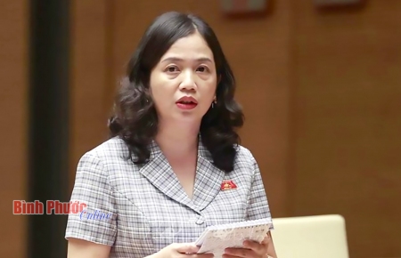 Cần quy định việc phối hợp ngăn ngừa nguy cơ xảy ra sự cố, thảm họa