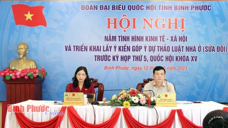 anh lay y kien 1