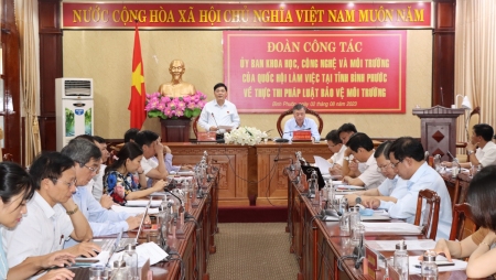 Hình 1