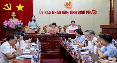 Ảnh ĐBQH GS tại UBND tỉnh 10