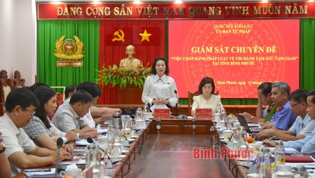 Phó chủ nhiệm UBTPQH