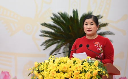 tần tuệ hiên hop 15