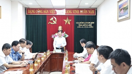 131025 HDND GS DTXD 1