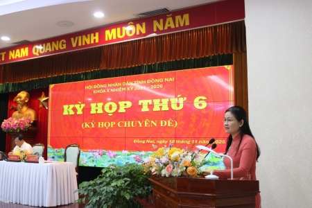 Kỳ họp thứ 6 (chuyên đề) HĐND tỉnh thông qua một số nghị quyết về hạ tầng giao thông kết nối giữa Đồng Nai và Thành phố Hồ Chí Minh