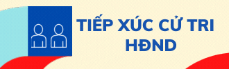 Tiếp xúc cử tri