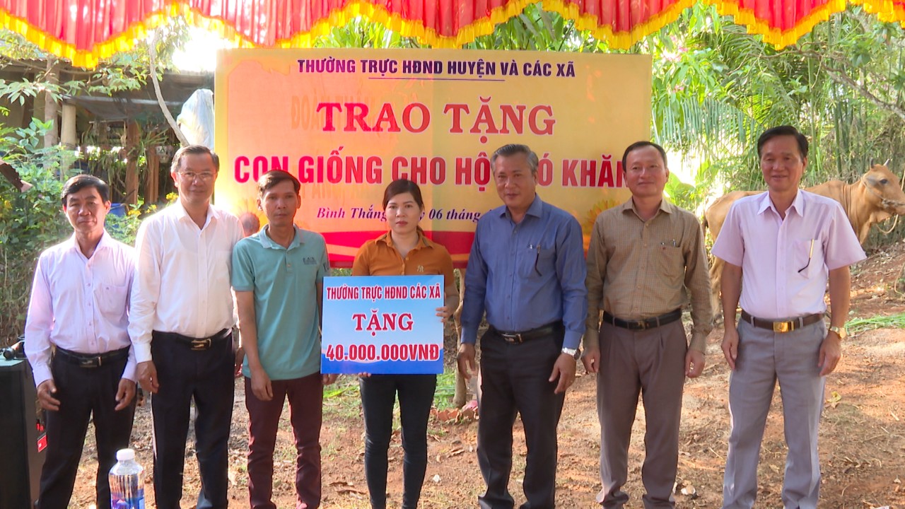 trao nha tinh thương 2