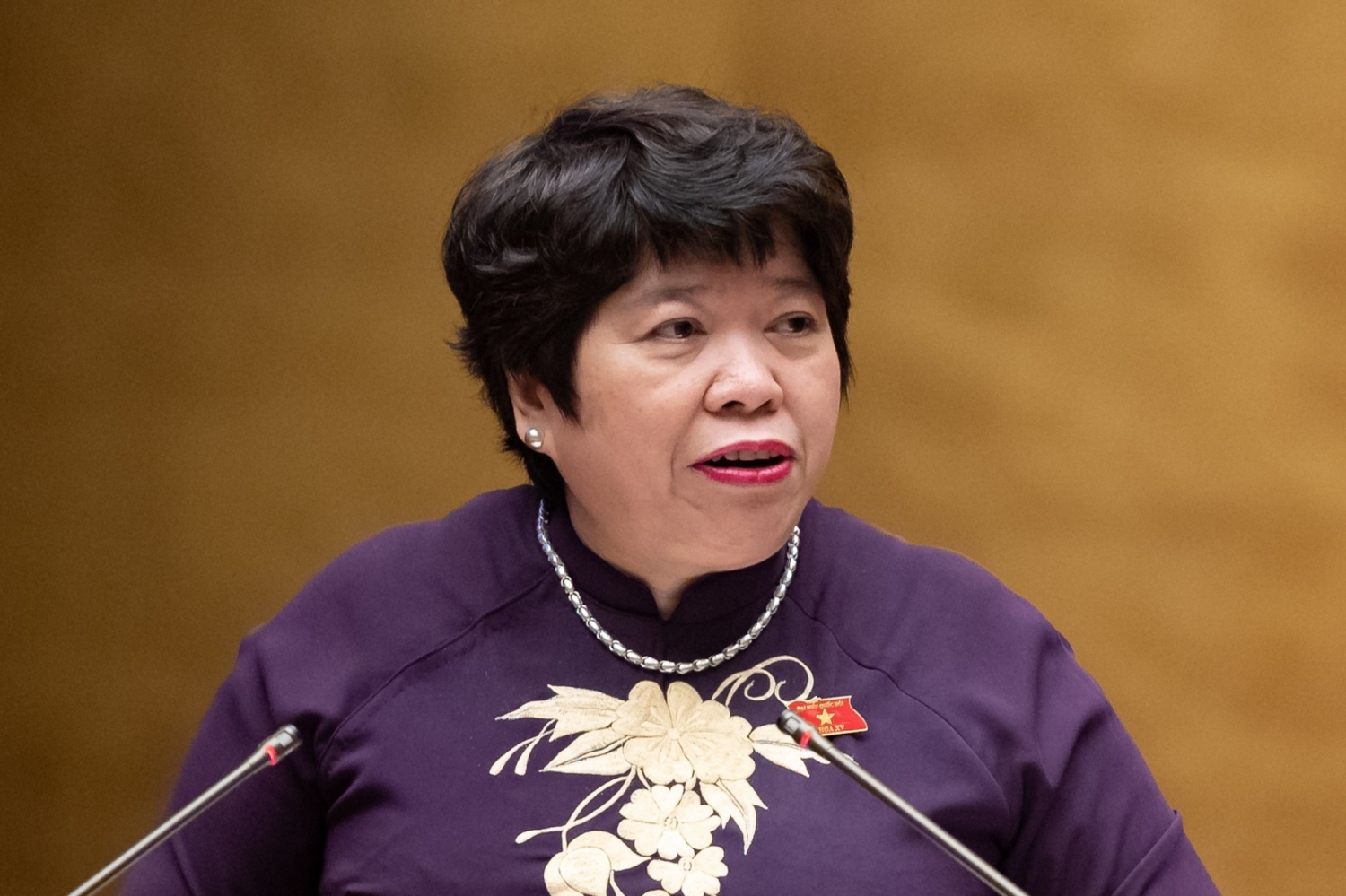 Nguyễn Thúy Anh 29 5