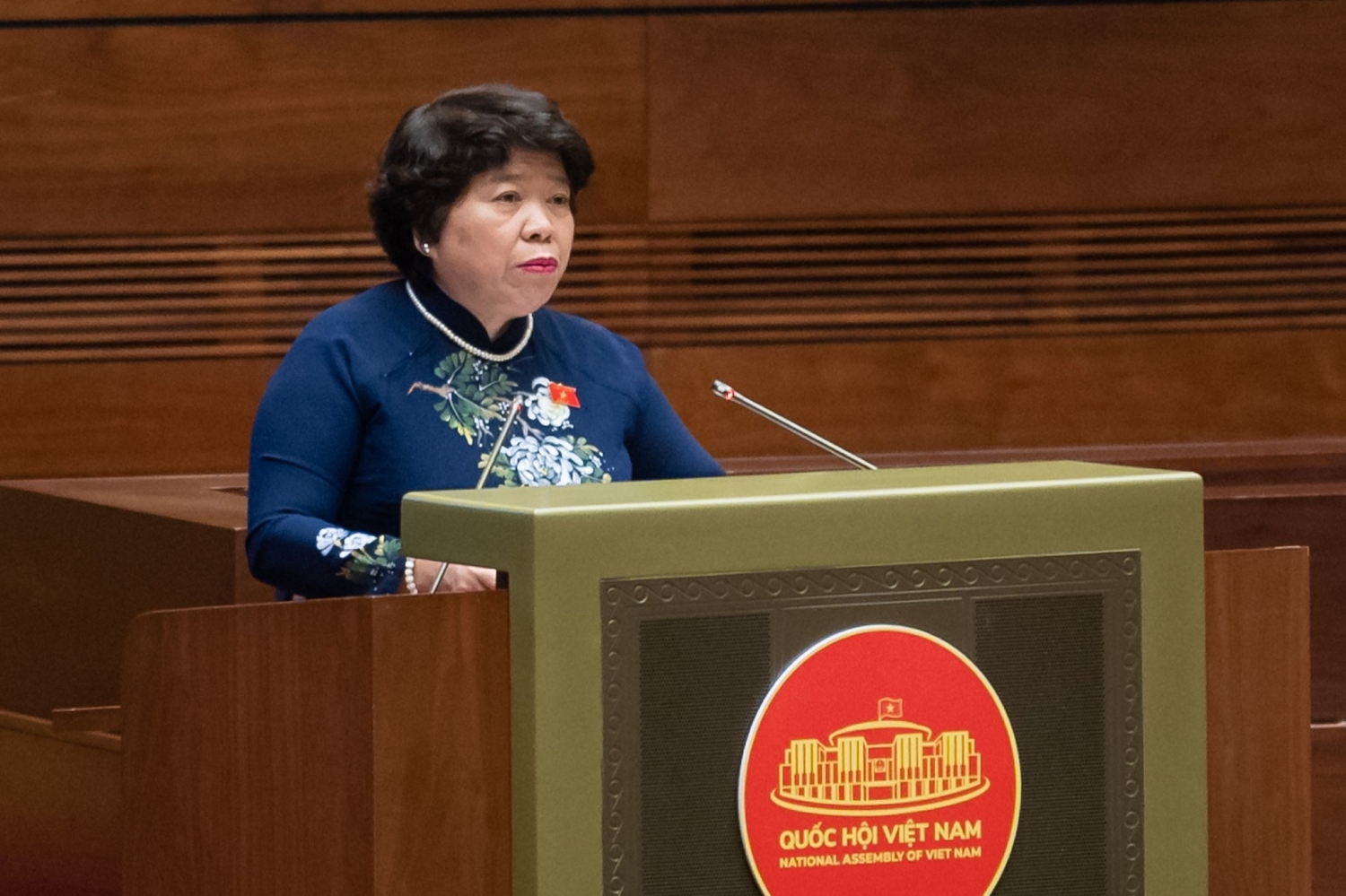 Nguyễn Thúy Anh