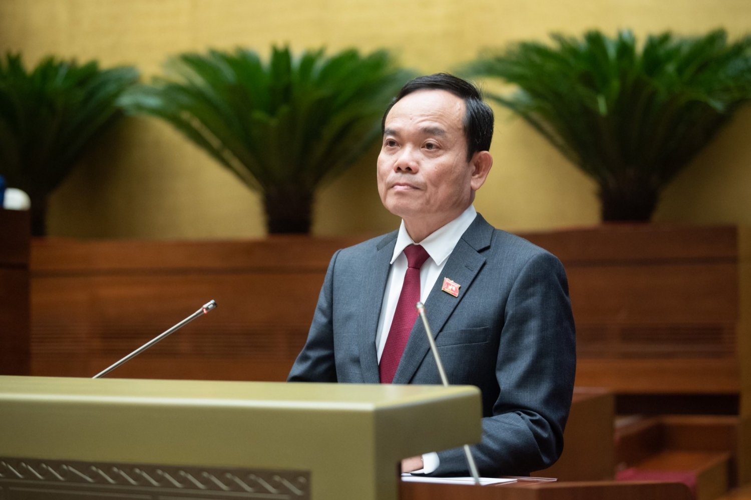 Trẩn Lưu Quang