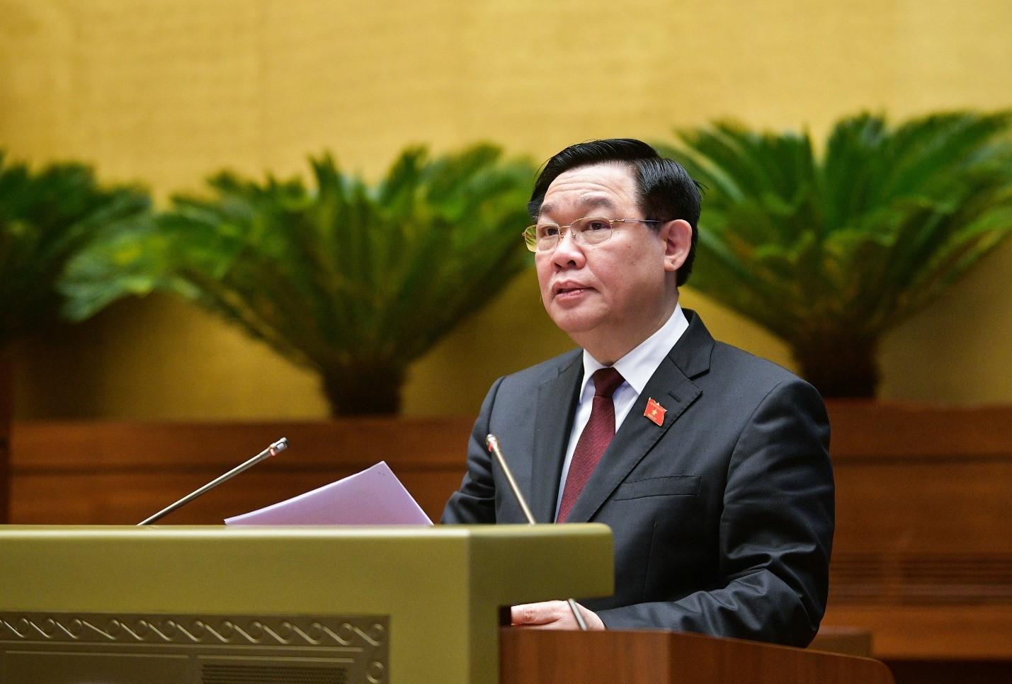 chất QH họp 31 VĐH