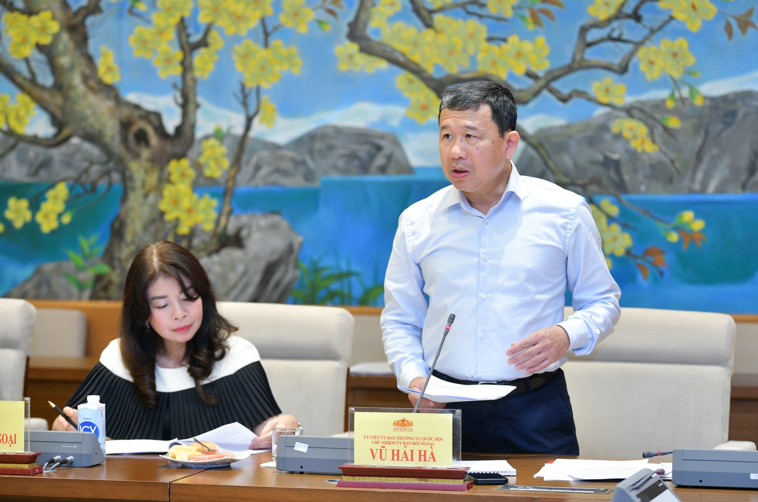 vũ hải hà