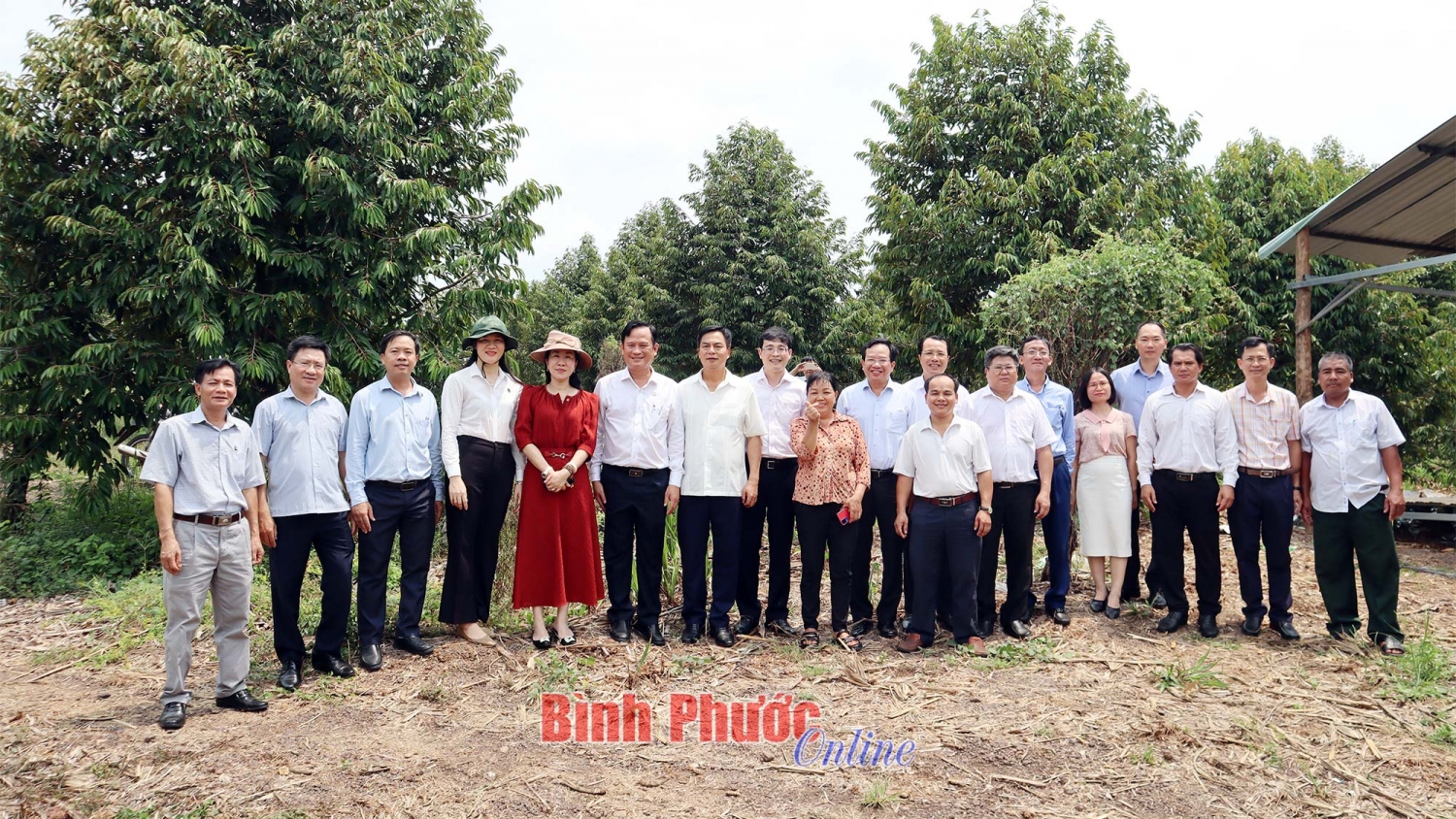 lưu niệm sầu riêng