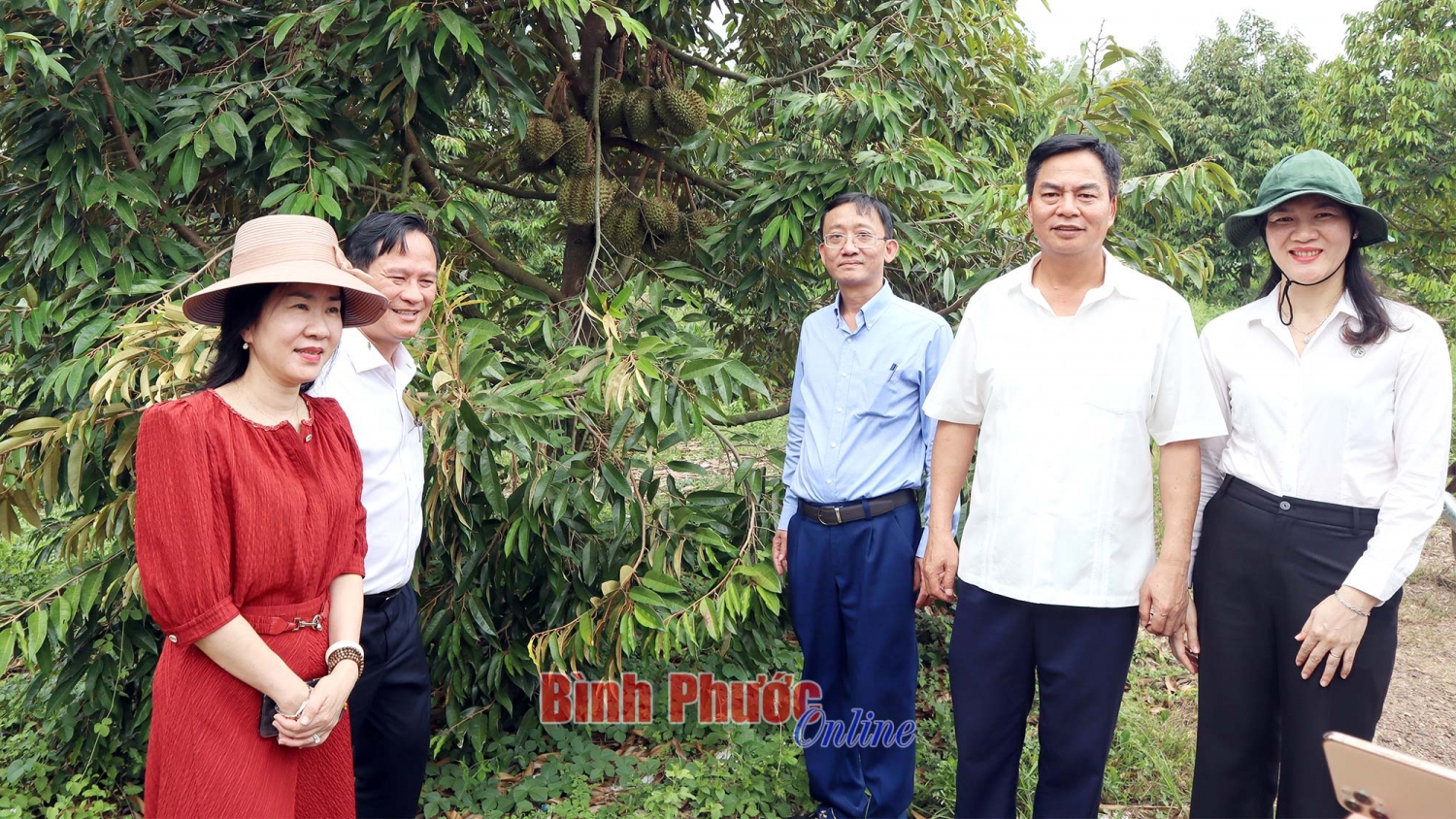 thăm sầu riêng