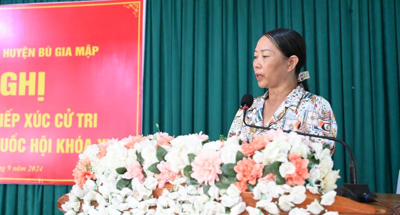 CỬ TRI BGM