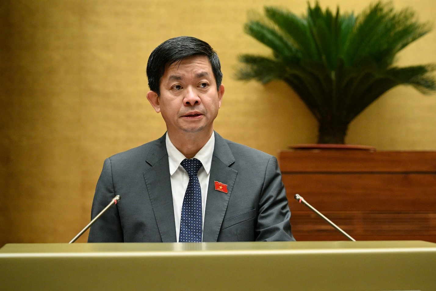 lê quang tùng