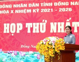 Kỳ họp thứ nhất HĐND tỉnh Đồng Nai khóa X