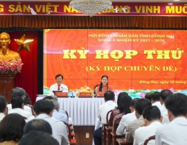 Kỳ họp thứ 6 (Kỳ họp chuyên đề) ngày 10/11/2025