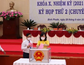 hinh-bo-phieu-8.jpg