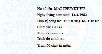 Mai Thuyết Vũ copy.jpg