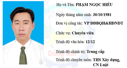 Vu Hoai Nam Copy1.jpg