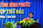 Kỳ họp thứ sáu, HĐND tỉnh khóa IX