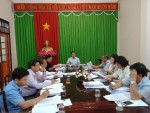 Họp Tổ đại biểu HĐND tỉnh trước kỳ họp thứ mười hai, HĐND tỉnh khóa IX