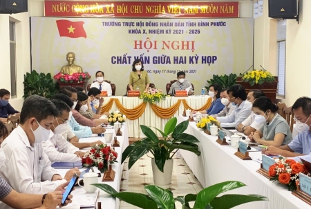 Hội nghị chất vấn giữa hai kỳ họp của HĐND tỉnh